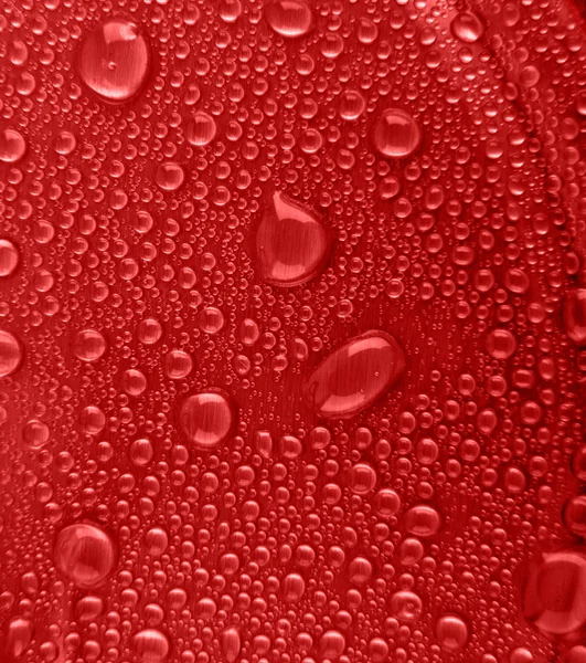 Gotas de agua sobre un fondo rojo —  Fotos de Stock