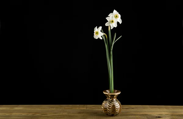 Lente bloemen narcissen — Stockfoto