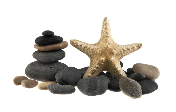 Starfish and stones — Stock Photo, Image