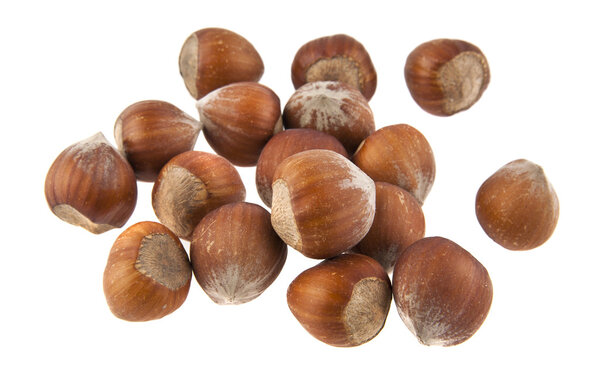 фундук изолированы на белом фоне крупным планом
