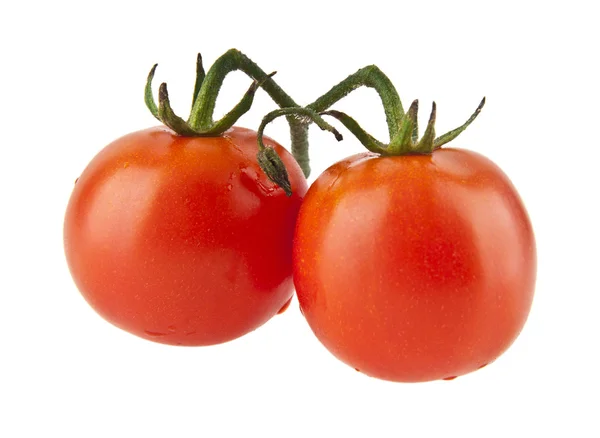 Tomatos isolated on a white background — Stock Photo, Image
