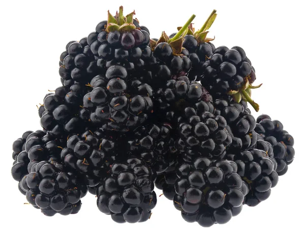 在白色背景特写下分离的黑莓浆果 — 图库照片