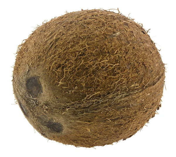 Kokosnuss Isoliert Auf Weißem Hintergrund Nahaufnahme — Stockfoto