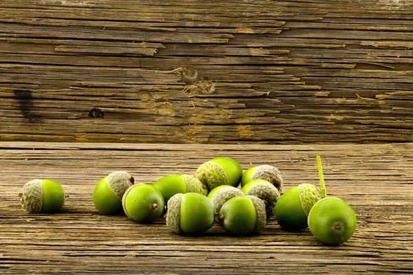 Green Acorns Old Wooden Table Closeup Background — Stock Photo, Image