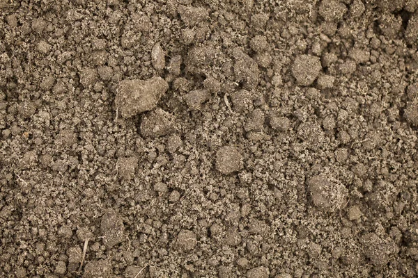 Bodenbeschaffenheit Als Hintergrund Das Konzept Von Landwirtschaft Gartenbau Und Ökologie — Stockfoto