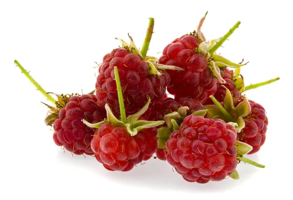 Beeren Von Roten Saftigen Himbeeren Isoliert Auf Weißem Hintergrund Nahaufnahme — Stockfoto