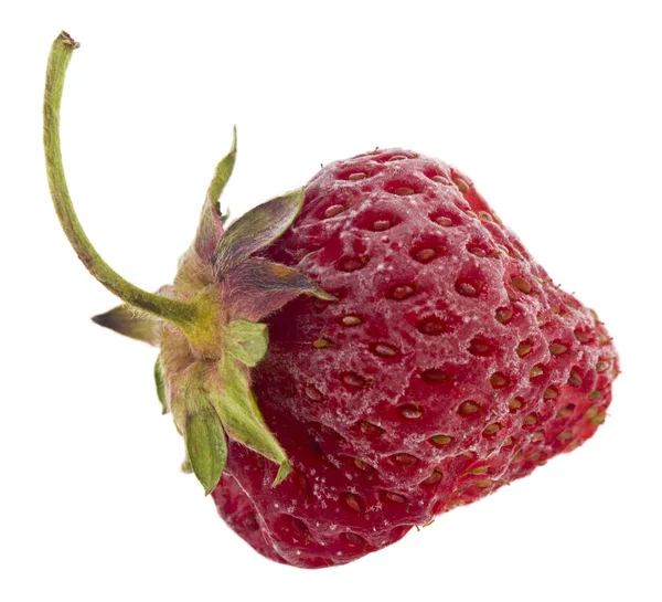 Rote Gefrorene Erdbeeren Isoliert Auf Weißem Hintergrund Nahaufnahme — Stockfoto