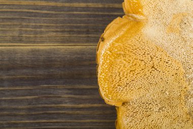 Ahşap arka planda Tinder mantarı.