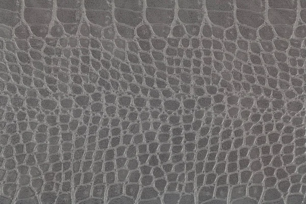 灰色鳄鱼的皮肤纹理为背景 刻度纹理 — 图库照片