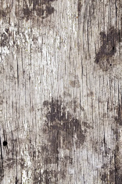 Wood Texture Background Surface Old Natural Pattern — Stock Photo, Image