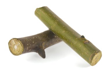 Ağacın dallarını kesmiş, yakacak odun beyaz arka planda izole edilmiş. Ekolojik ısıtma konsepti. Tam odaklanma.