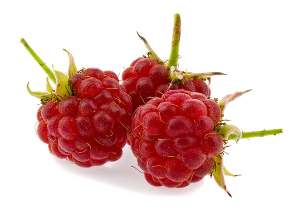 Juicy Red Raspberry Berries Isolated White Background Close Full Focus — Stock Photo, Image