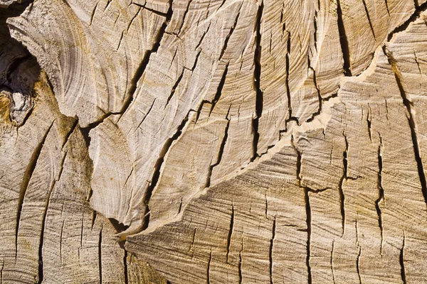 Houten Textuur Van Gekapt Oud Hout Als Achtergrond — Stockfoto