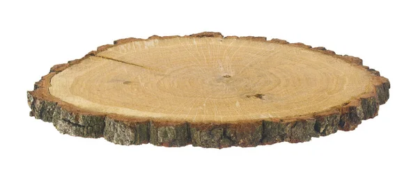 Träd Stam Skiva Isolerad Vit Bakgrund Närbild — Stockfoto