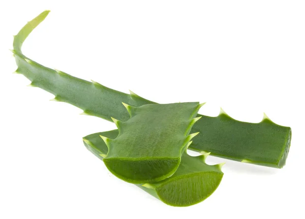 Foglia Verde Aloe Isolata Sfondo Bianco Primo Piano Concentrazione Completa — Foto Stock
