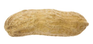 Beyaz arka planda izole edilmiş yer fıstıkları. Tasarım ayrıntıları. Tasarım elemanları. Makro. Kartvizitler, kartpostallar ve posterler için arka plan.