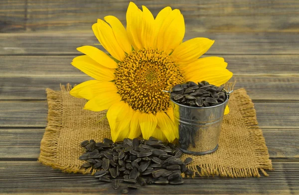 Sunflower with seeds on a wooden table. Detail for design. Design elements. Macro. Background for business cards, postcards and posters.