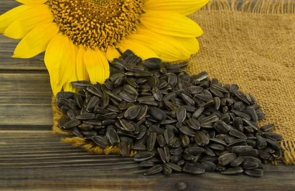 Sunflower Seeds Wooden Table Detail Design Design Elements Macro Background — Stock Photo, Image