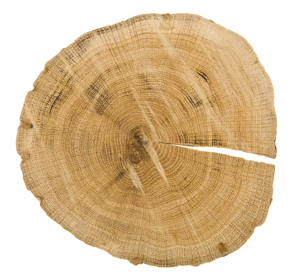 白い背景に孤立した木のスライス 木の切りの質感 デザインの詳細 デザイン要素 マクロだ はがき ポスターの背景 — ストック写真
