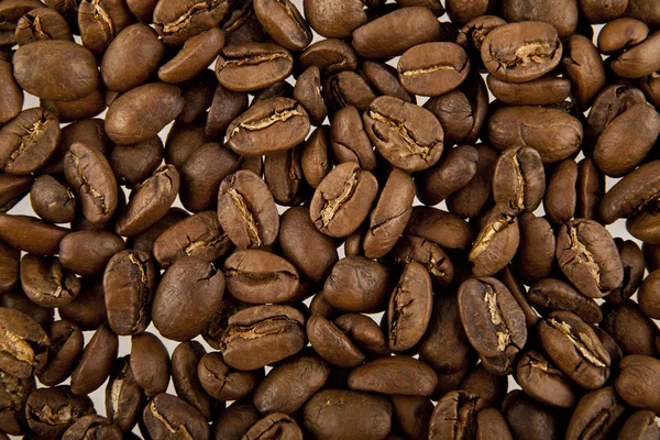 Korn av kaffe — Stockfoto