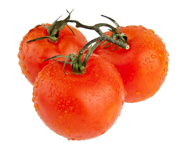 Tomates en blanco —  Fotos de Stock