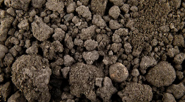 Tło gleby — Zdjęcie stockowe