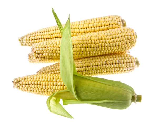Кукурудза на білому — стокове фото