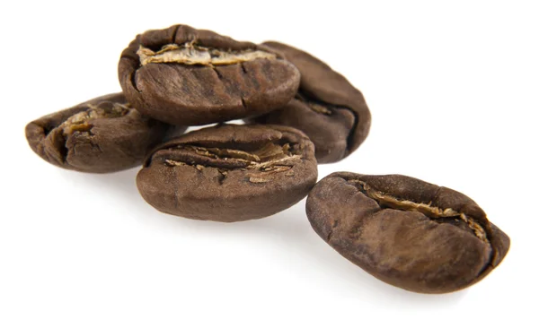 Korn av kaffe — Stockfoto