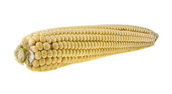 Corn on white — Stock Photo, Image