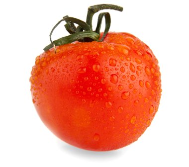 beyaz üzerine domates