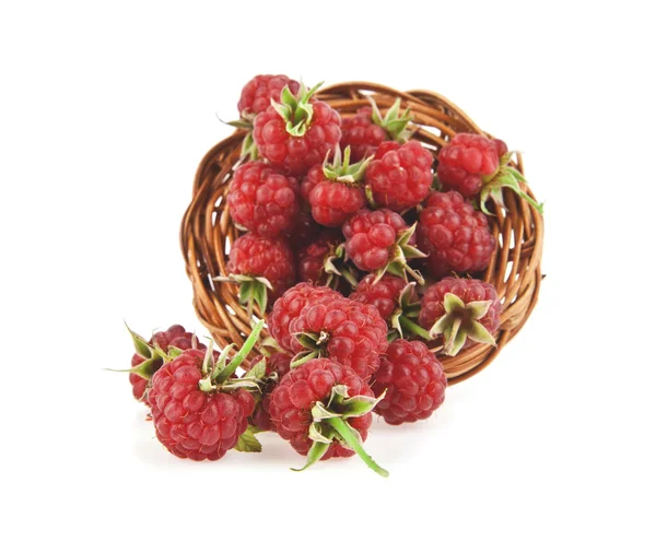 Raspberry on white — Stock Photo, Image