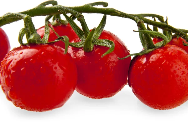 Tomatoes on white — Stock Photo, Image