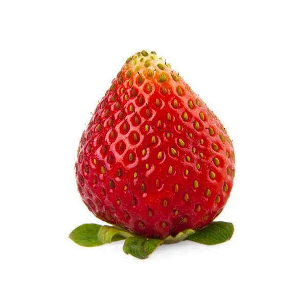 Strawberry on white — Stock Photo, Image