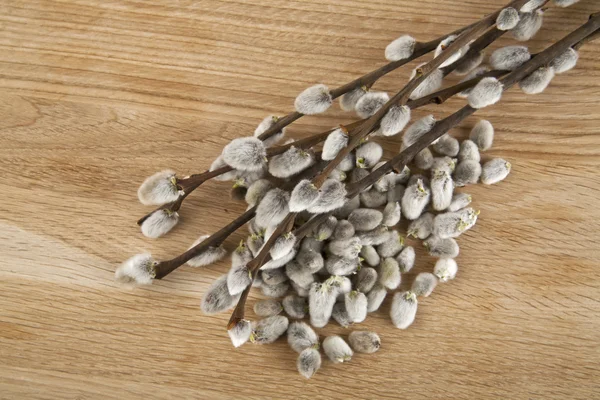 Coño-sauce en la mesa — Foto de Stock