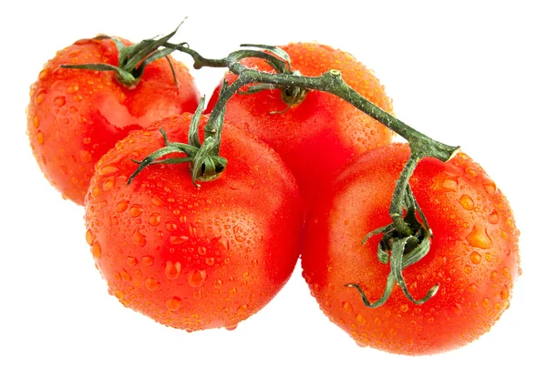 Pomodori su bianco — Foto Stock