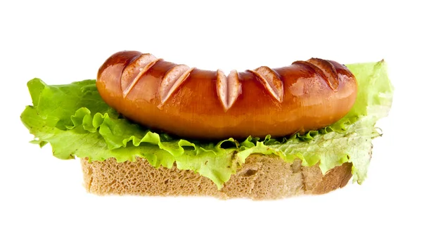 Sausage on white — Stock Photo, Image