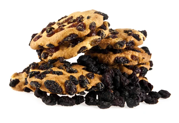 Cookie with raisin — Stock Photo, Image