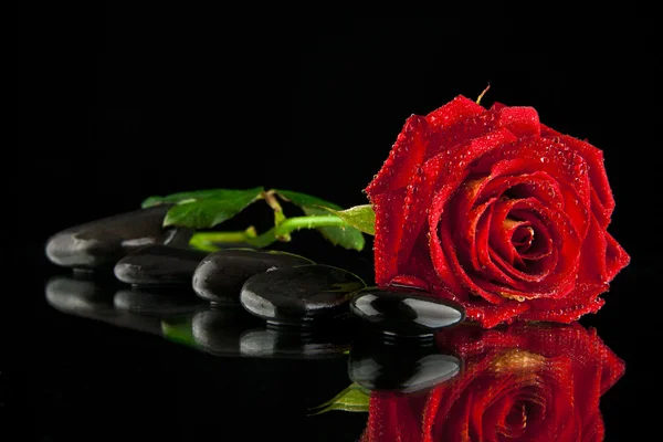 Red rose with stone — Stock Photo, Image