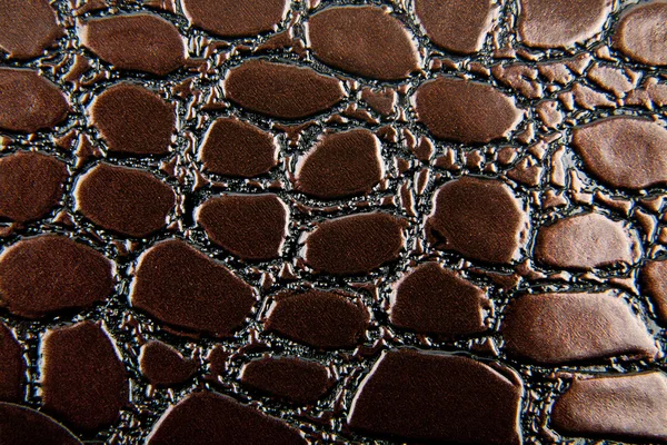 Dark alligator patterned — Stock Photo, Image