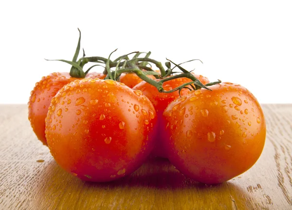 Tomaten op wit — Stockfoto