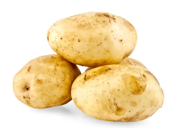 Aardappel geïsoleerd — Stockfoto