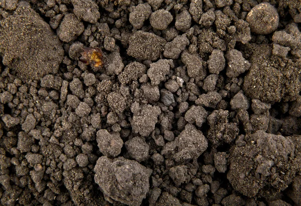 Почва в качестве фона — стоковое фото