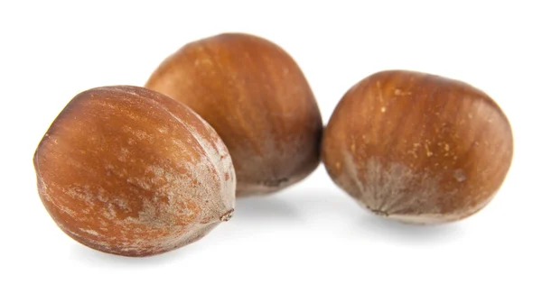 Hazel-nuts — Stock Photo, Image