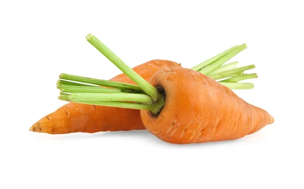 Deux carottes — Photo