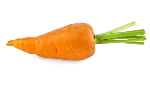 Una zanahoria — Foto de Stock