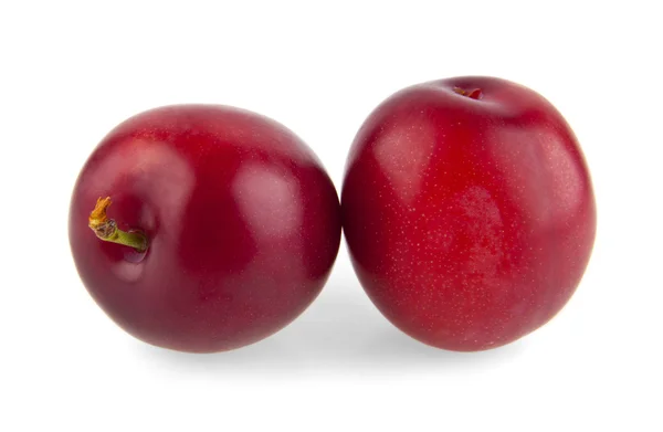 Plum di atas putih — Stok Foto