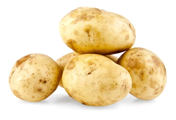 Verse aardappel — Stockfoto