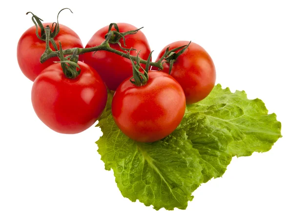 Pomodori e lattuga — Foto Stock