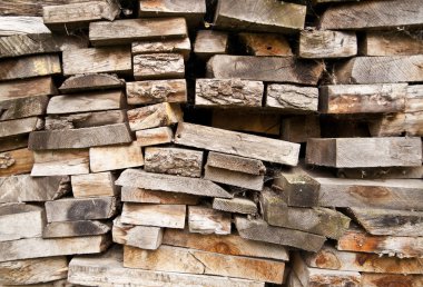 Çeşidinde yakın çekim