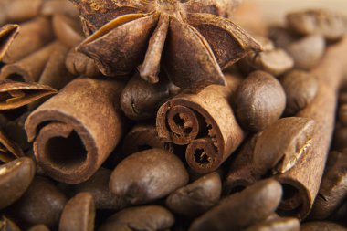 kahve ve baharat taneleri